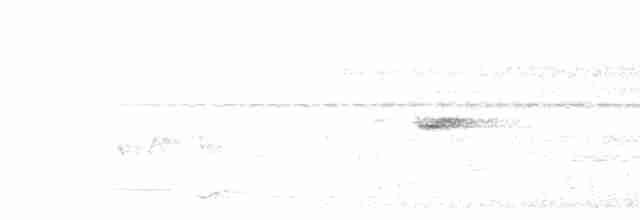 Борнейский павлиний фазан - ML592058031