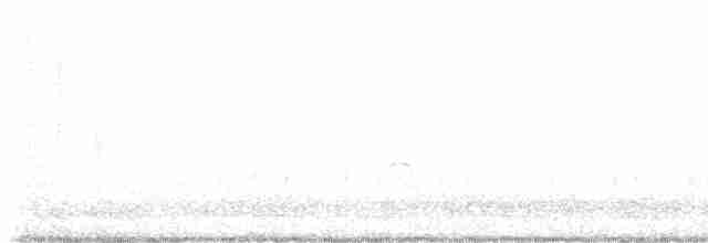 Eurasian Oystercatcher - ML592065901