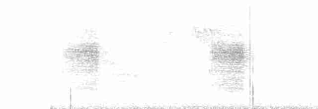 Woodchat Shrike - ML592076591