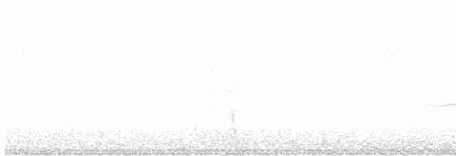 Turuncu Ardıç - ML592105871