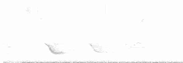 Дрізд-короткодзьоб бурий - ML592117011
