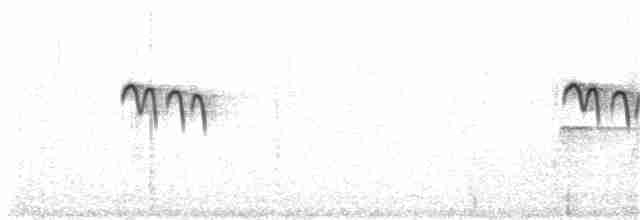 Хохлатая синица - ML59213401