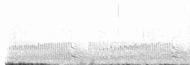 Océanite tempête - ML592136961