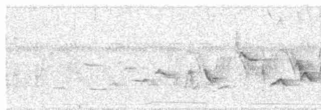 Oriole des vergers - ML592137781