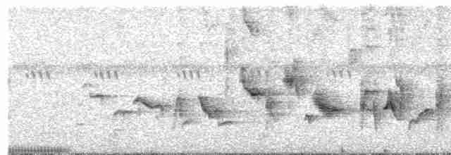 Oriole des vergers - ML592140421