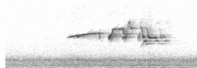 Münzevi Bülbül Ardıcı - ML592147351