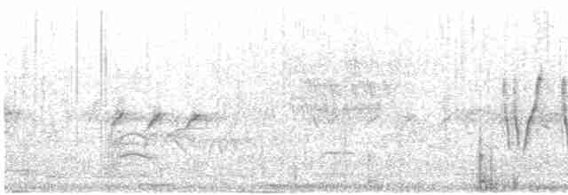ורדית ארוכת-זנב - ML592186091