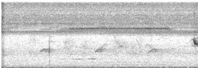Spot-breasted Wren - ML592186311