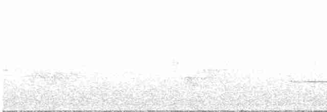 Белогорлая зонотрихия - ML592198231