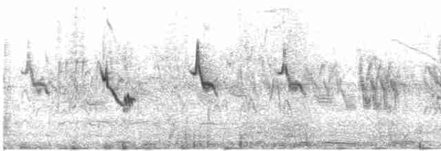 Barn Swallow (Tytler's) - ML592202061
