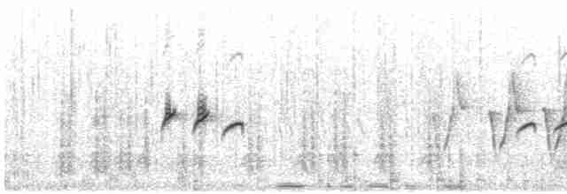 Long-tailed Rosefinch - ML592203001