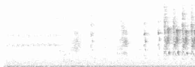 Marsh Wren (palustris Group) - ML592214201