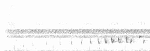 Buff-collared Nightjar - ML592235001