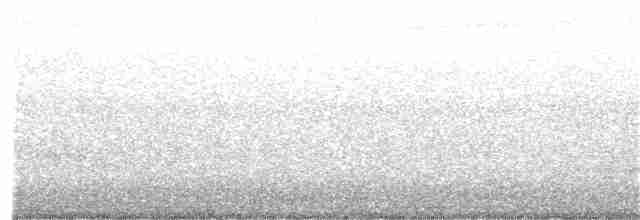 Common Yellowthroat - ML59223541