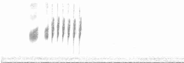 Doğulu Tarlasığırcığı - ML592252041
