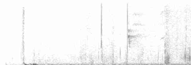 Kentucky Warbler - ML592261411