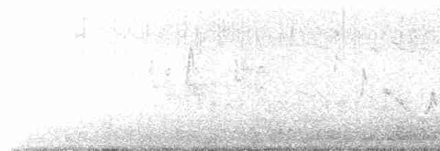 Gray-crowned Yellowthroat - ML592270791