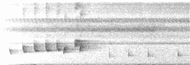 Buff-collared Nightjar - ML59228961