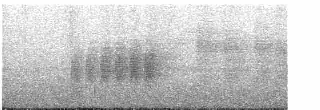 Eufonia Ventricastaña - ML592291081