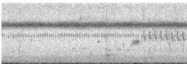 Marsh Wren (griseus) - ML592293991