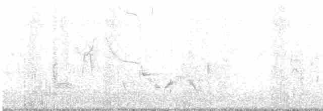 White-eyed Vireo - ML592317261