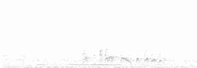 白腰叉尾海燕 - ML592349461