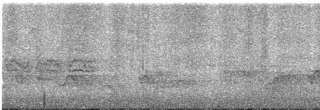 Черноголовый толстонос - ML592371121
