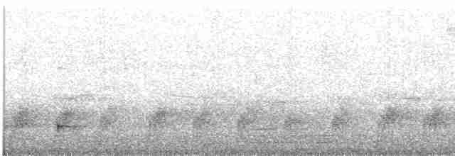 svarthodefluesnapper - ML592392891