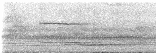 Malabar Whistling-Thrush - ML592393271