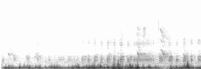 Kutup Fırtınakuşu - ML592411131