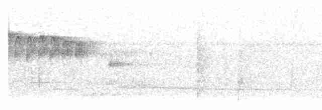 Ornate Stipplethroat - ML592417081