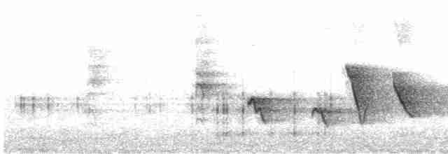 Мышиная нектарница - ML592420881