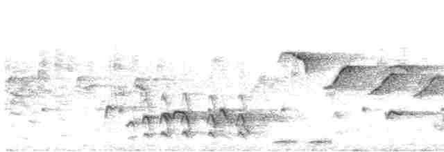  - Olive-headed Weaver