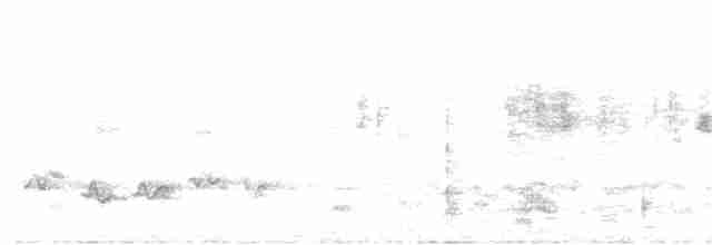 Акалат сіробровий - ML592430051