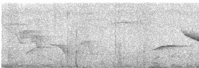 Spot-breasted Wren - ML592433121
