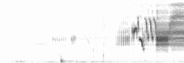 Приморская овсянка-барсучок (maritima/macgillivraii) - ML592435831
