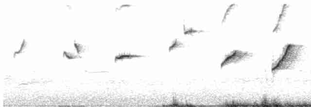 Lärmdickichtvogel - ML592438171