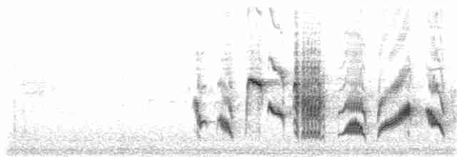 Western Orphean Warbler - ML59244951