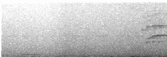 Atlantic Black-throated Trogon - ML592451861