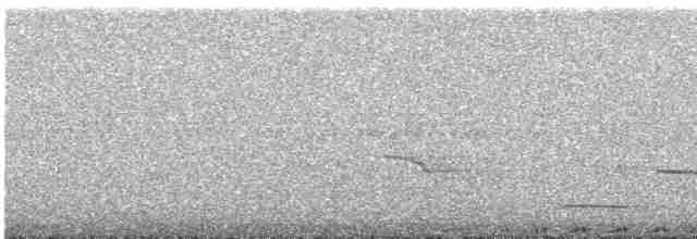 Сичик-горобець крихітний - ML592466001