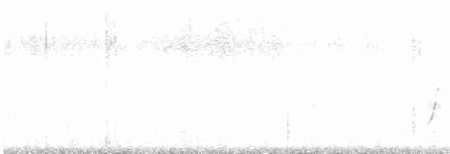 斑胸秧雞 - ML592475501
