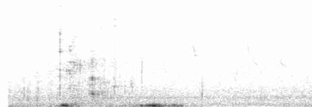 Окулярник абісинський - ML592495961