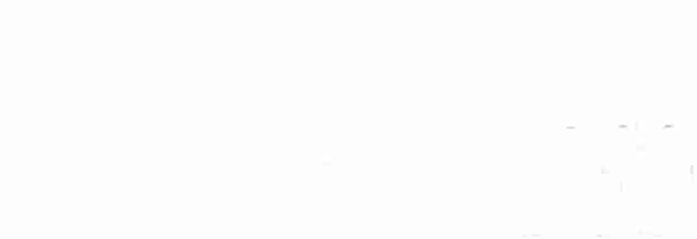 Al Kanatlı Karatavuk [phoeniceus grubu] - ML592502371