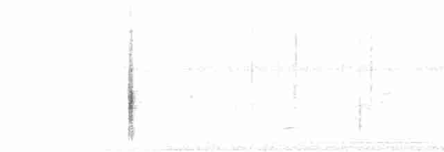 vlhovec červenokřídlý [skupina phoeniceus] - ML592502381