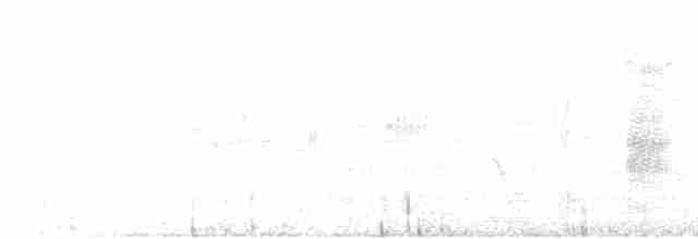 střízlík bažinný [skupina palustris] - ML592502531