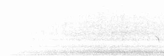 Болотный крапивник [группа palustris] - ML592502541