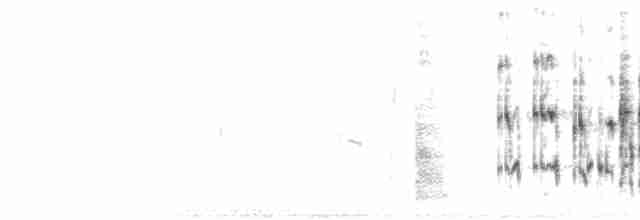 Sumpfzaunkönig [palustris-Gruppe] - ML592502551