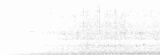 Приморская овсянка-барсучок (maritima/macgillivraii) - ML592502751
