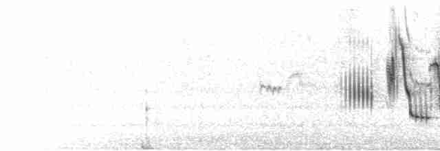 Приморская овсянка-барсучок (maritima/macgillivraii) - ML592502771