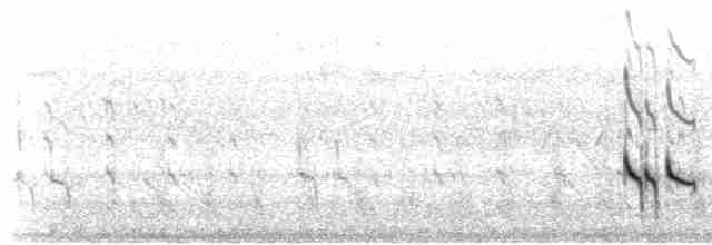 Короткоклювый бекасовидный веретенник - ML592504981